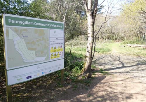 Photo Gallery Image - Pennygillam Community Woodland