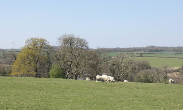 Rural views over the parish of South Petherwin